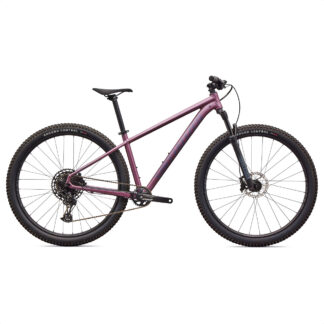Specialized Rockhopper Expert 29 (Satin Quartz Metallic/Mauve Metallic)