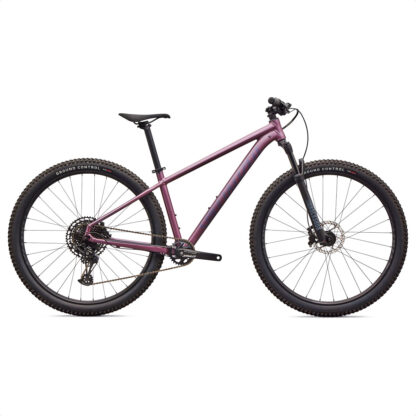 Specialized Rockhopper Expert 29 (Satin Quartz Metallic/Mauve Metallic)
